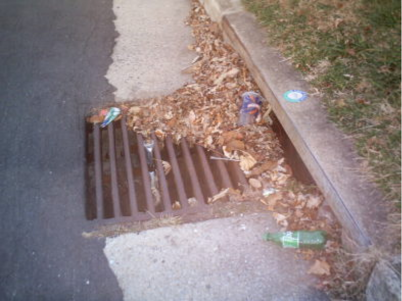 How to Prevent Leaves, Litter in Storm Drainage System Algonquin, IL