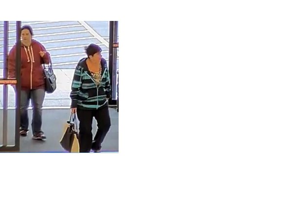 Police Seek Suspects in Hobby Lobby Retail Theft - Algonquin, IL Patch