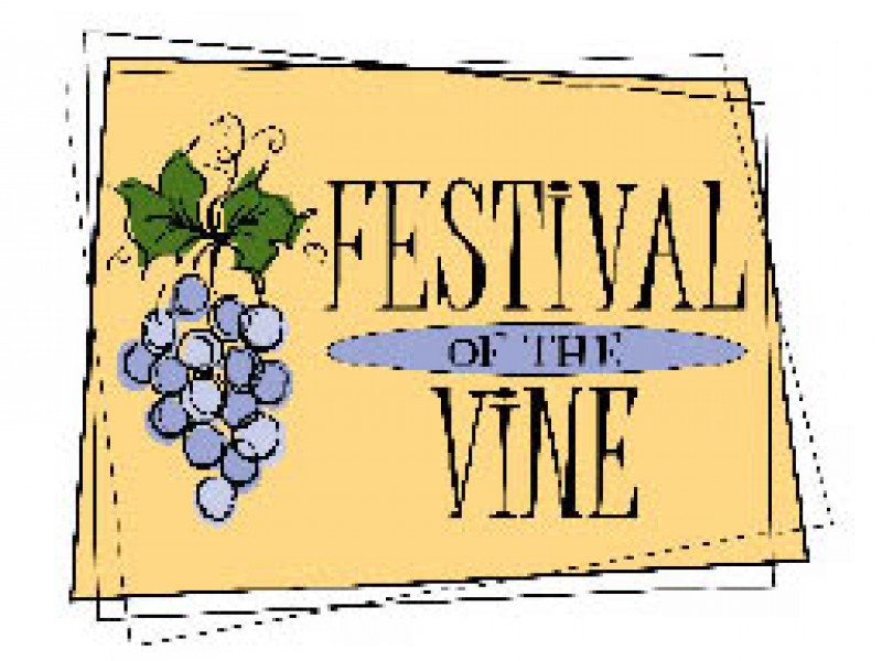 Image result for festival of the vine