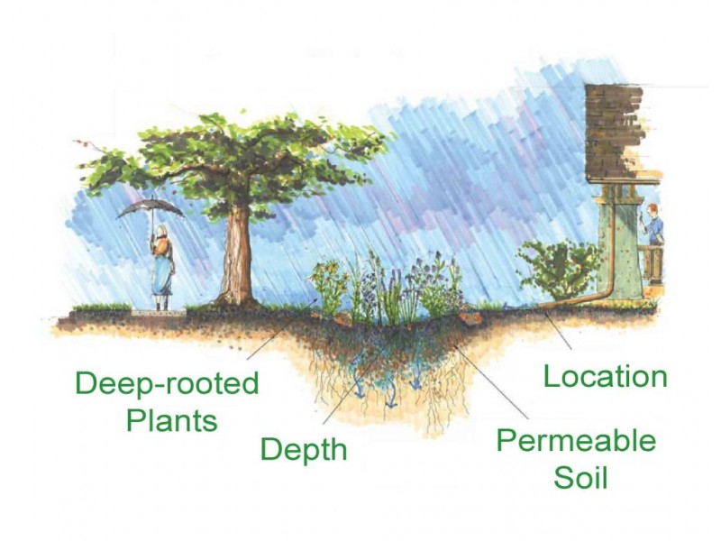 Natural Solutions for Yard Flooding | Bolingbrook, IL Patch