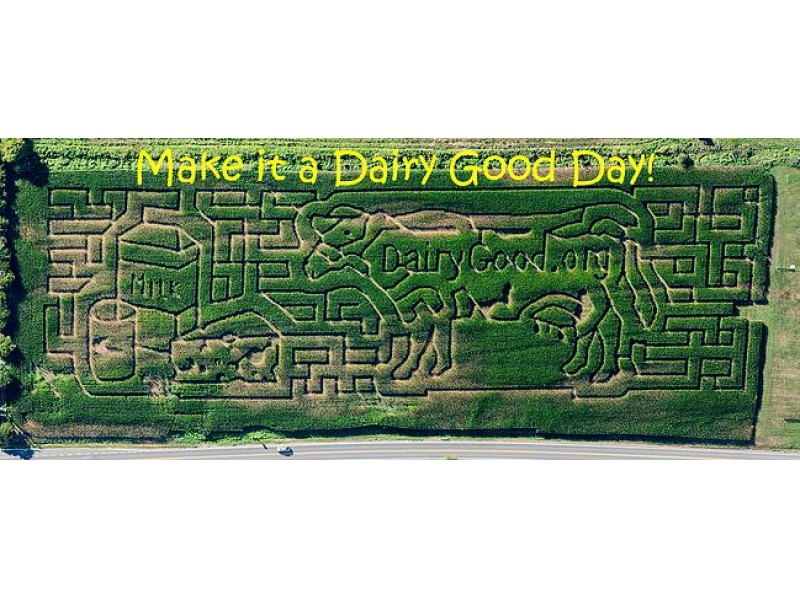 Halloween 2015: 4 Corn Mazes Near Fredericksburg | Fredericksburg, VA Patch