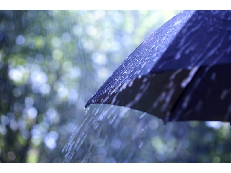 Rain Showers Weather Rain Showers Weather
