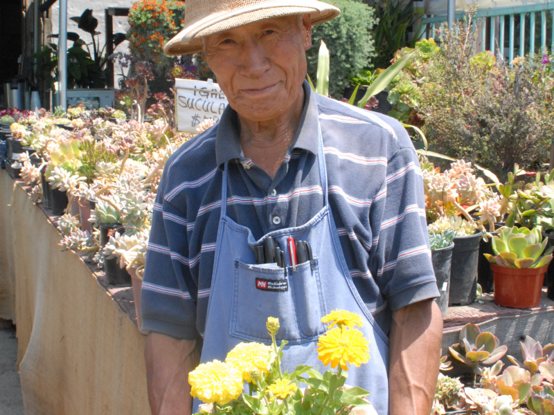 Eagle Rock Disappoints Plant Nursery Owner Eagle Rock, CA Patch