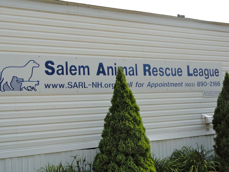 Salem Animal Rescue League Now Has Low Cost Spay/Neuter Program Salem