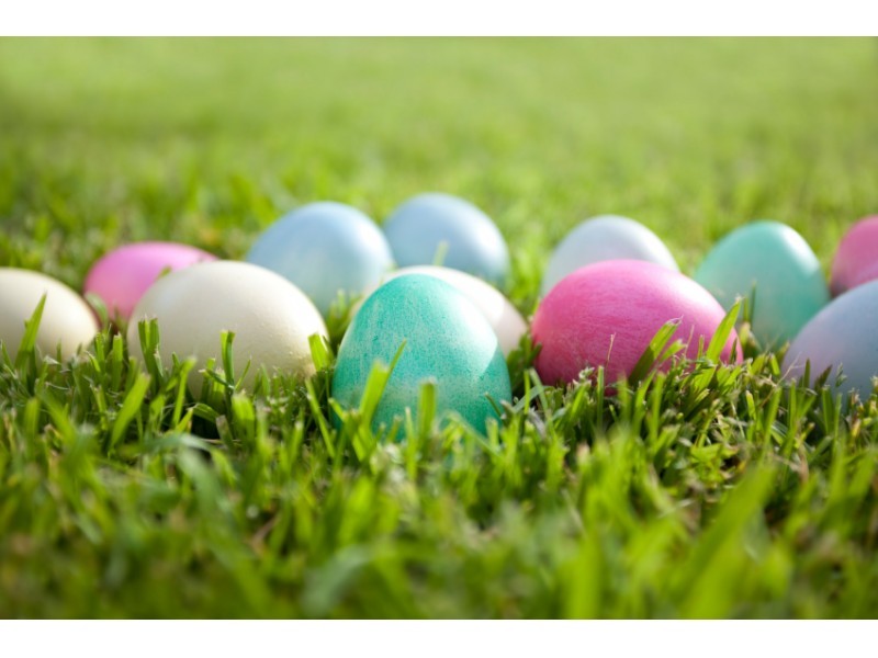 Annual Easter Egg Hunt is Saturday Windham, NH Patch