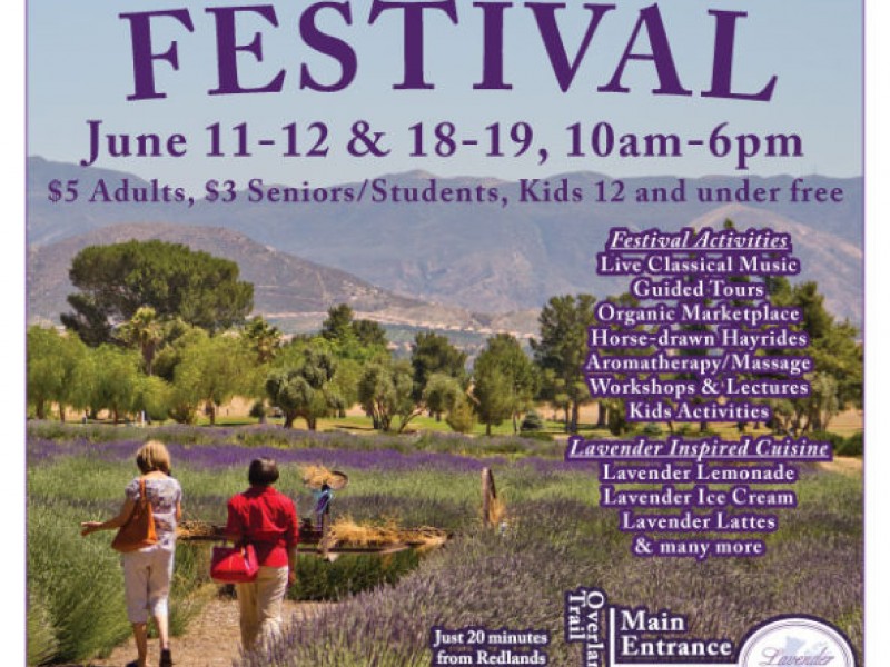 7th Annual Lavender Festival Banning, CA Patch