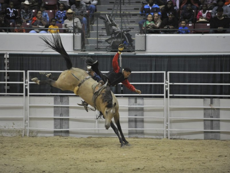 Photos Black Rodeo at The Show Place Arena Upper Marlboro, MD Patch