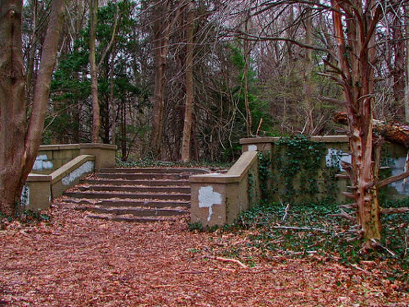 Meandering in Muttontown Syosset, NY Patch