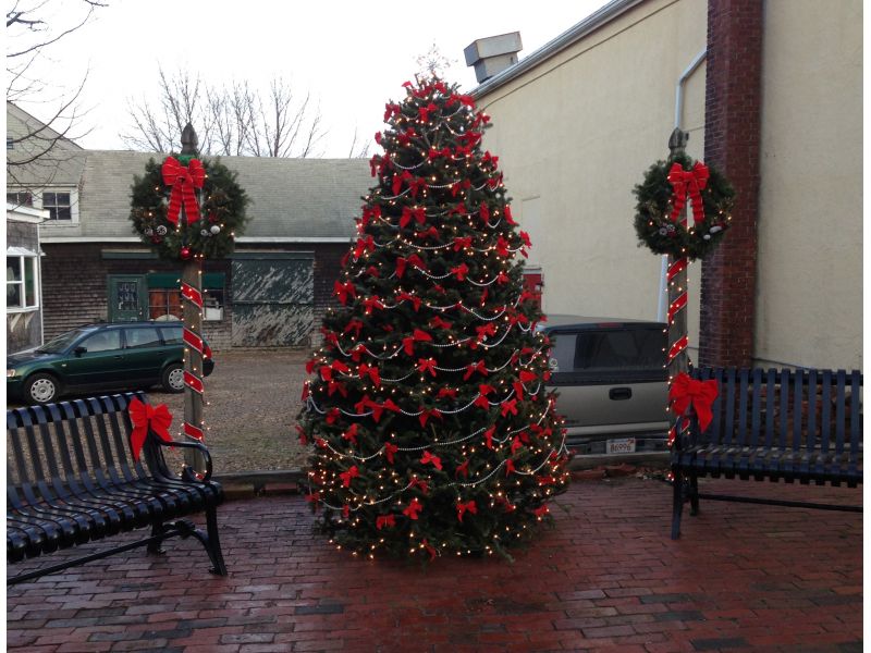 Where to Recycle a Christmas Tree on Martha\'s Vineyard | Martha\'s ... Where to Recycle a Christmas Tree on Martha\'s Vineyard | Martha\'s ...