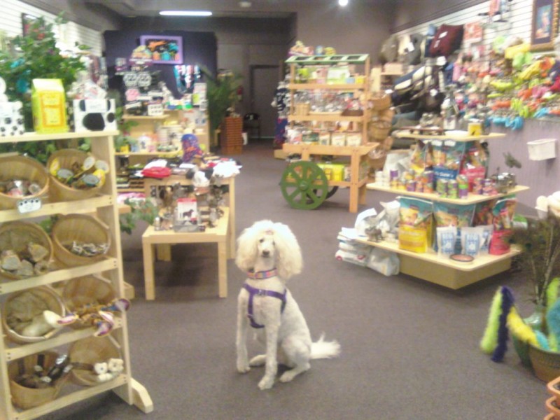 New Pet Store will Open in Palisades Center Mall to Promote Pet ...