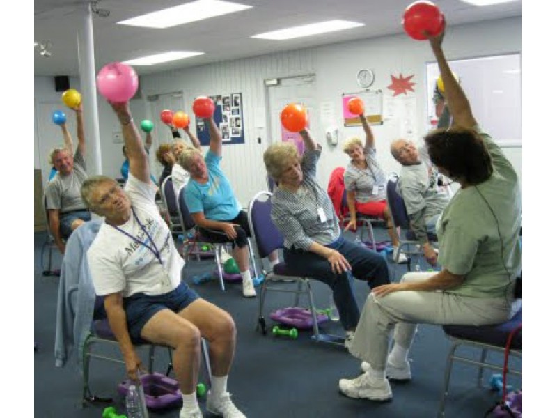 What classes are available under the SilverSneakers Fitness program?