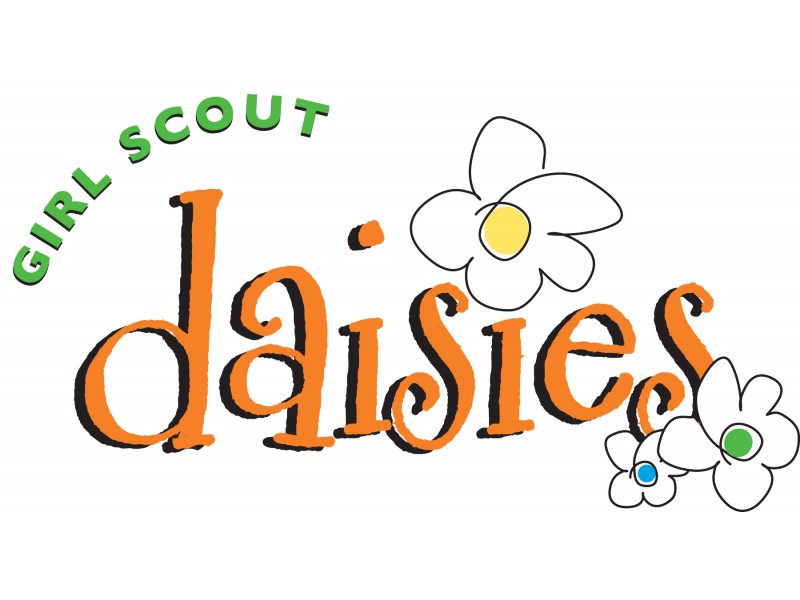 Image result for gs daisies