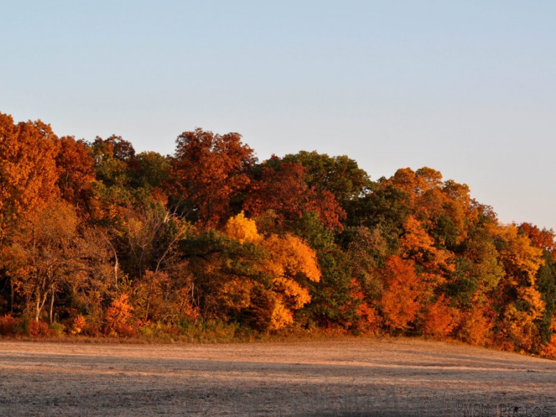 Now is the Best Time to See Fall Colors in Iowa (Photos) Ames, IA Patch