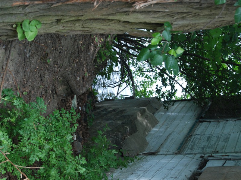 Lake Ronkonkoma's Book House Remembered Sachem, NY Patch