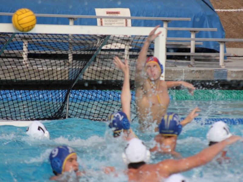 Blog Agoura Boys Water Polo Team Cinches CIF Division II Title