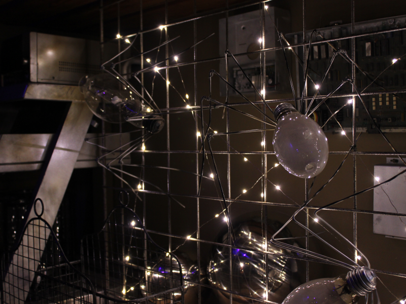 Photos Halloween Boutique Creeps into Roger's Gardens Newport Beach