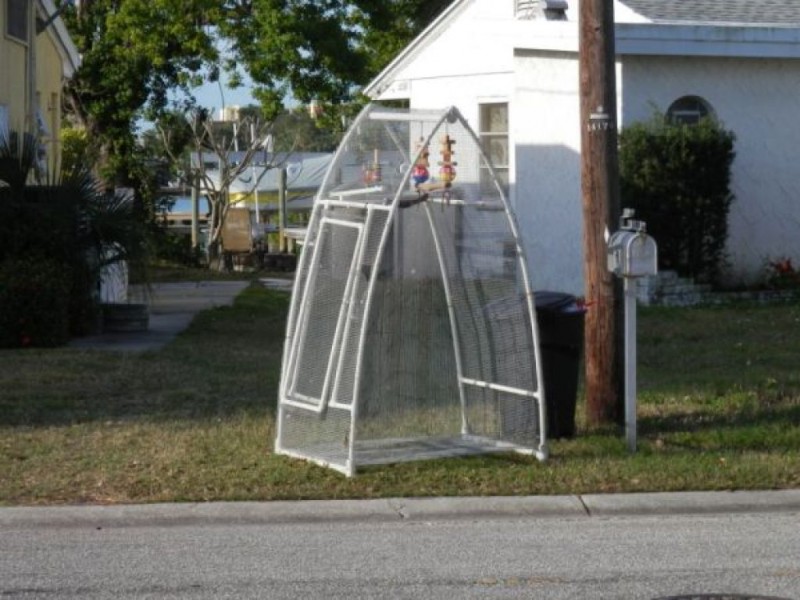 Craigslist Freebies in Dunedin and Beyond! | Dunedin, FL Patch