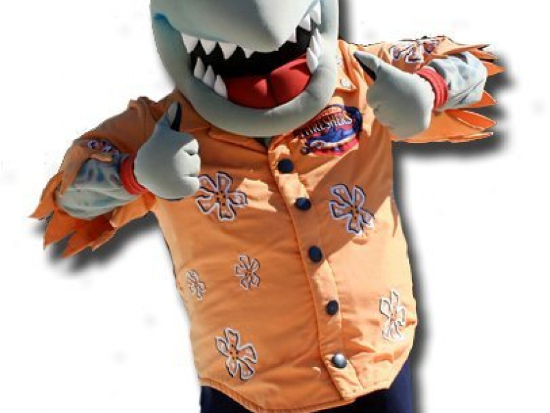 Cast Your Vote For Phinley Thresher Fans Clearwater FL Patch