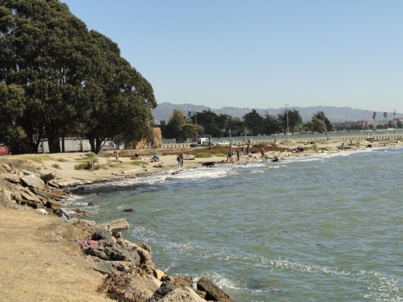 What Will of Albany Beach? Albany, CA Patch