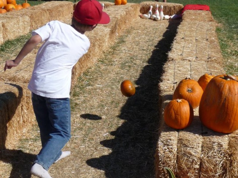 Annual Corn Maze, Pumpkin Patch & Harvest Festival | Temecula, CA Patch