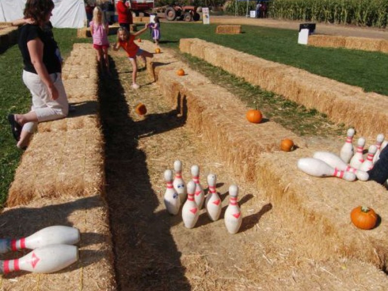 Annual Corn Maze, Pumpkin Patch & Harvest Festival | Temecula, CA Patch