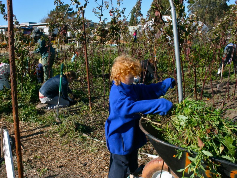Children Volunteer at the Homeless Garden Project Santa Cruz, CA Patch