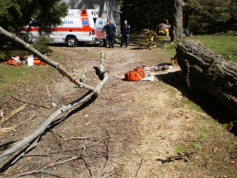 Man Seriously Injured After Tree Cutting Accident Woodbury, CT Patch