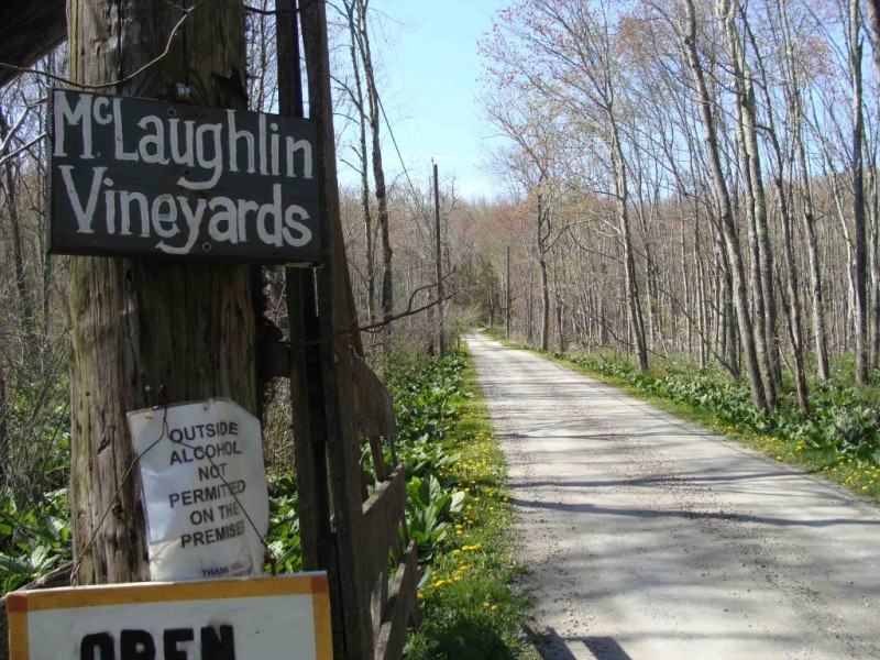 McLaughlin Sandy Hook's Vintage Vineyard Woodbury, CT Patch