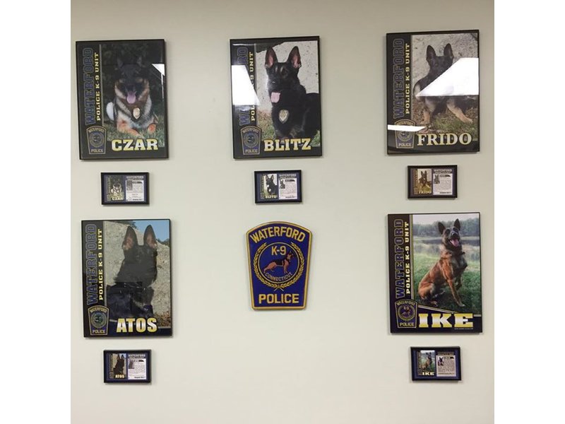 Waterford K9 Photos on Display in Chief's Office Lobby Waterford, CT