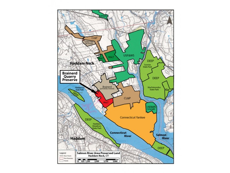 Haddam neck