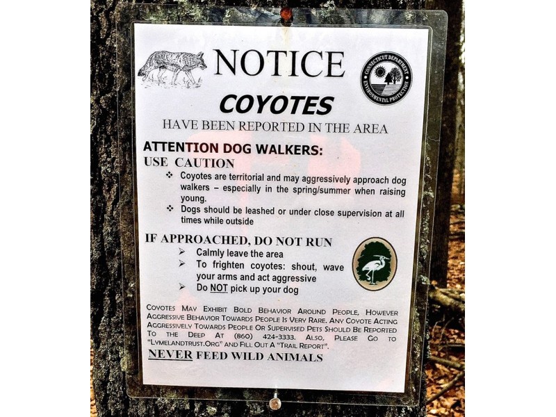 Personals in lyme connecticut