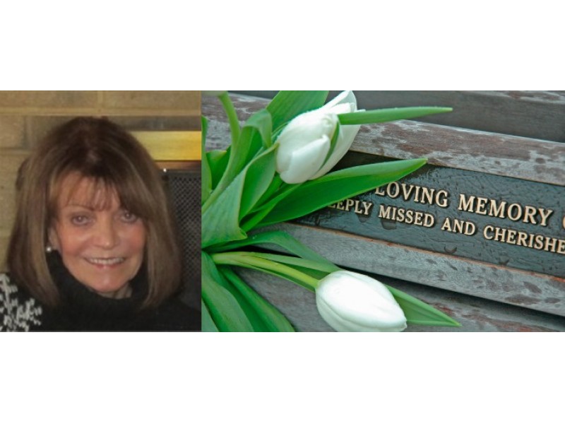 Carol Evans Cross, 73, of Annapolis Anne Arundel, MD Patch