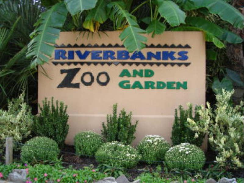 riverbanks zoological park