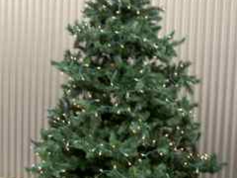 catchy collections of christmas tree paramus nj fabulous catchy collections of christmas tree paramus nj fabulous