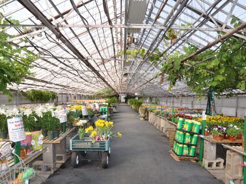 Parker Gardens Blooms in SPF and Around the World | Scotch Plains, NJ Patch