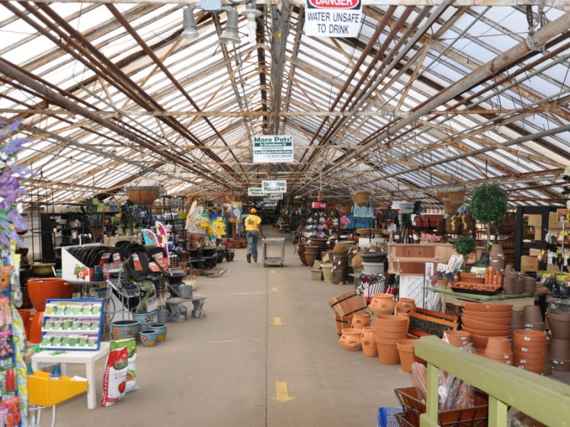 Parker Gardens Blooms in SPF and Around the World | Scotch Plains, NJ Patch