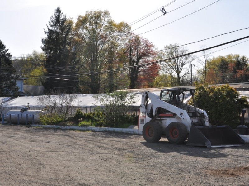 Parker Gardens Blooms in SPF and Around the World | Scotch Plains, NJ Patch