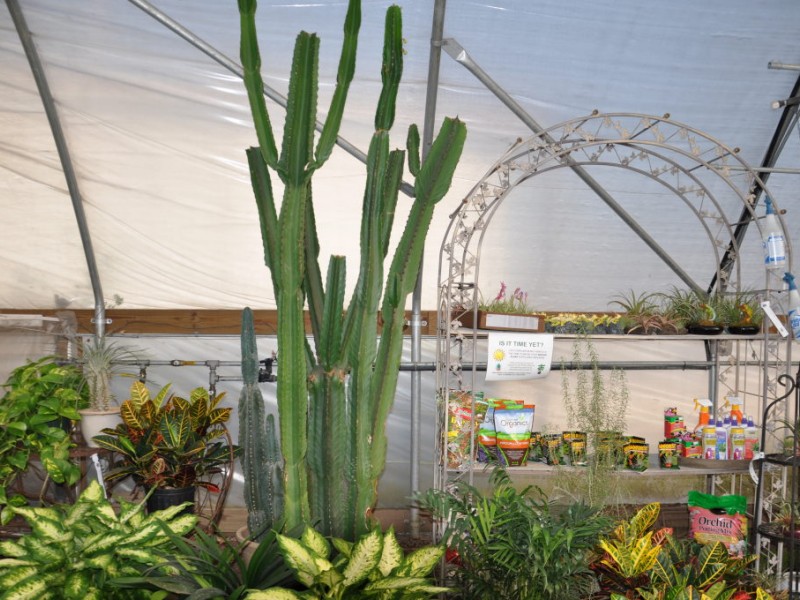 Parker Gardens Blooms in SPF and Around the World | Scotch Plains, NJ Patch