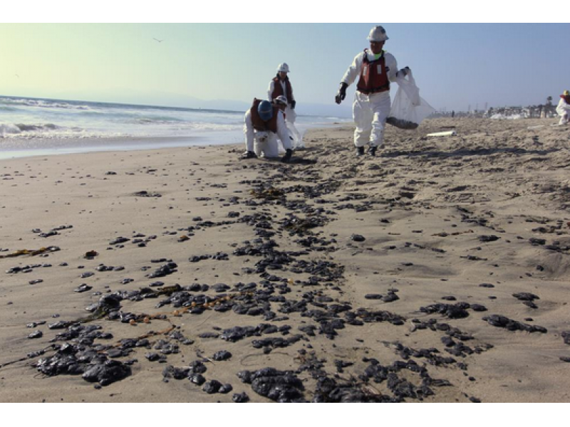 Beaches Remain Closed Amid Debate About Threat Posed By Tar Beaches Remain Closed Amid Debate About Threat Posed By Tar