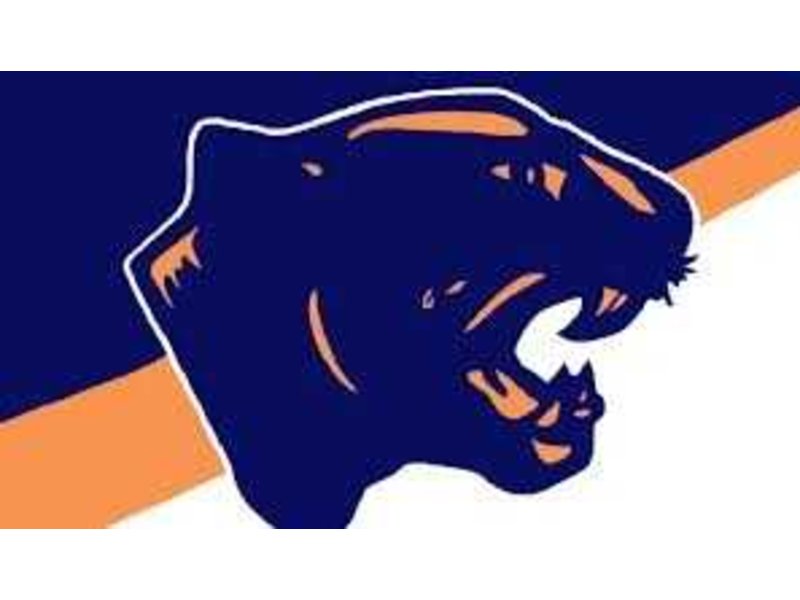 PantherFest Kicks Off Oswego High School Athletics Season | Oswego, IL