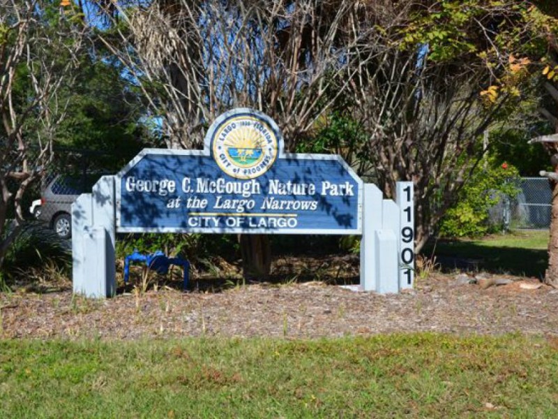 Meet McGough Nature Park's Newest Resident | Largo, FL Patch