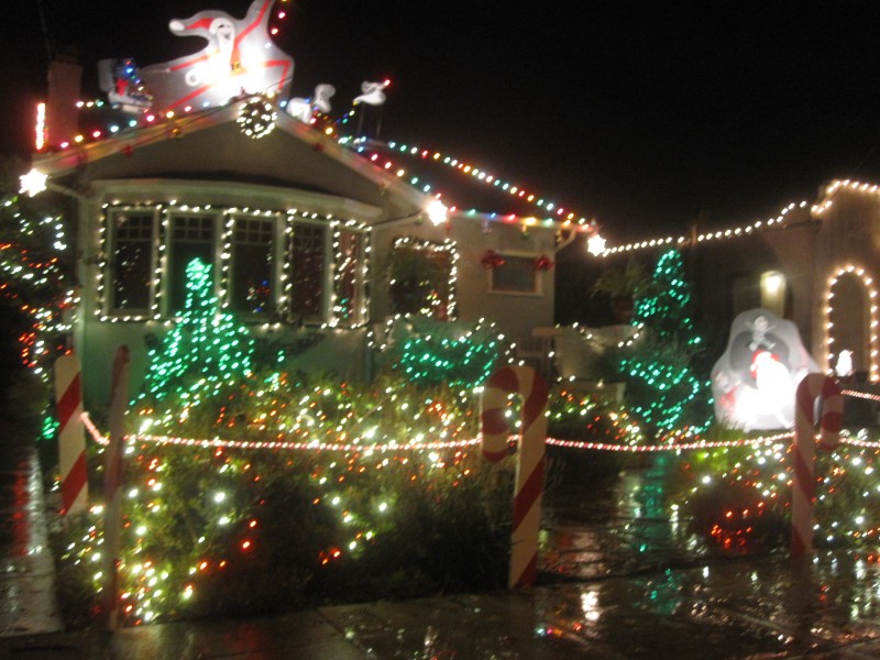 Christmas Tree Lane Lights Up Alameda Alameda, CA Patch
