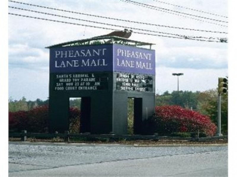 Growing Up With the Pheasant Lane Mall (and Reminding