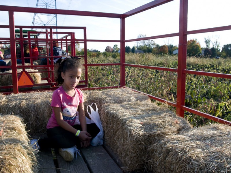 Stony Hill Farm a Family Affair in Chester Mendham, NJ Patch