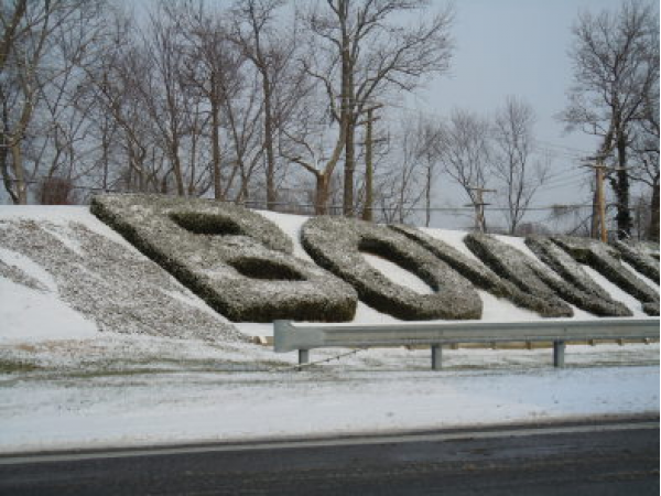 Image result for bowie maryland winter