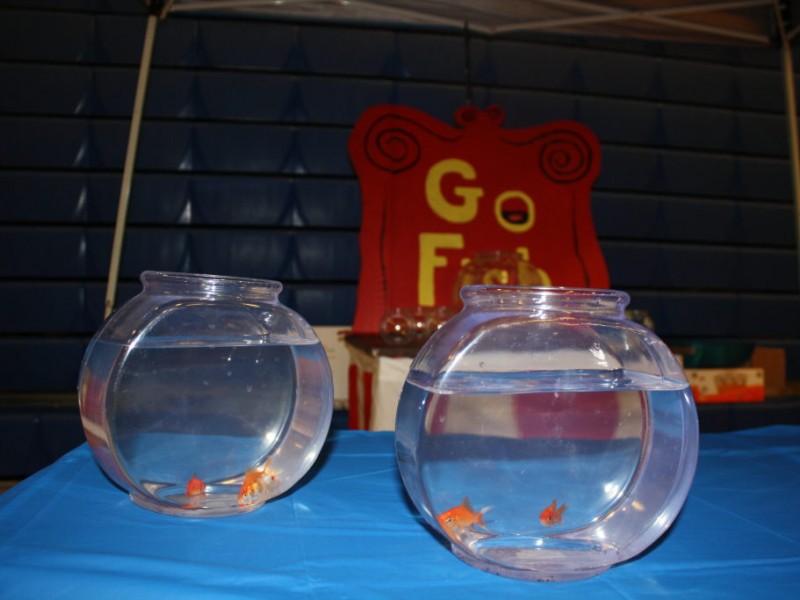 Dozens Volunteer for Oxford HS Post Prom 'Carnival' Oxford, CT Patch