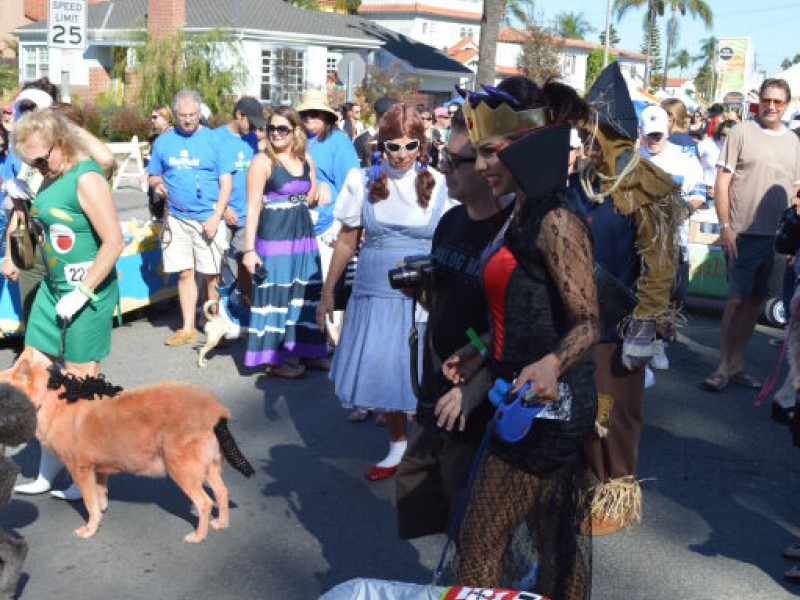 Halloween Dog Parade Charms Crowds Again Belmont Shore, CA Patch