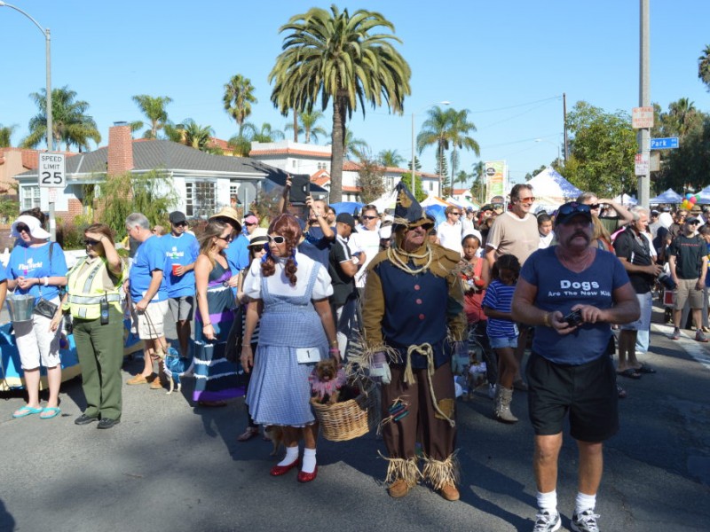 Halloween Dog Parade Charms Crowds Again Belmont Shore, CA Patch