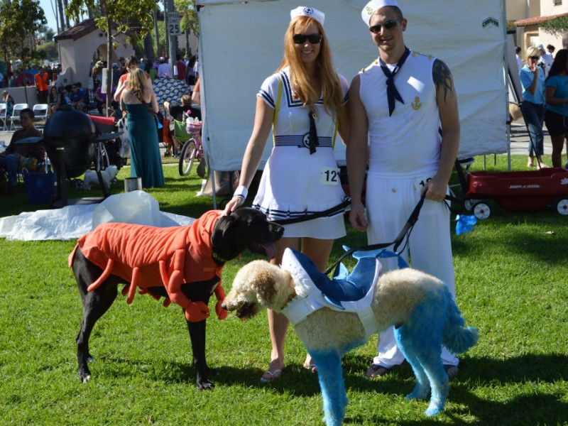 Halloween Dog Parade Charms Crowds Again Belmont Shore, CA Patch