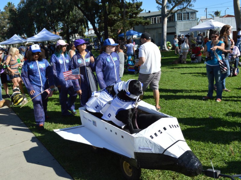 Halloween Dog Parade Charms Crowds Again Belmont Shore, CA Patch